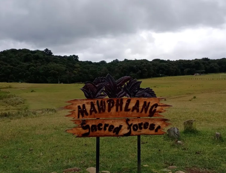 Mawphlang Sacred Grove